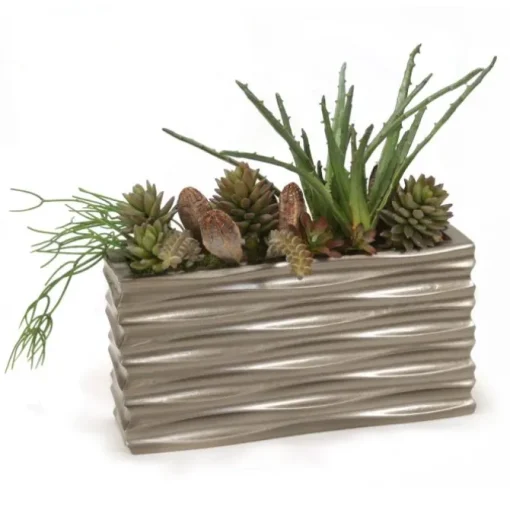 Succulents in Silver Embossed
