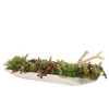 Succulents in Silver Tray