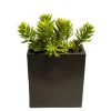 Succulents in Tall Metal Pillow Vase (Set of 2)