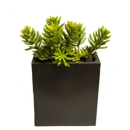 Succulents in Tall Metal Pillow Vase (Set of 2)