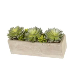 Sword Succulents in Concrete Window Box