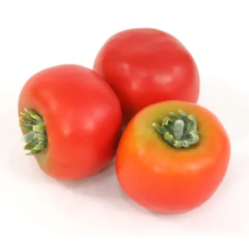 Tomato Red (Sold in Multiples of 12)