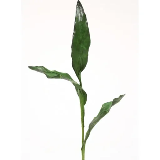 Tulip Leaves Bush in Green (Sold in Multiples of 12)