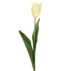 25.5" Tulip Stem with 2 Leaves in White
