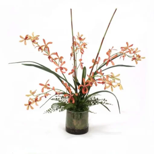 Vanda Orchid Garden in Glass Round Bowl