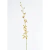 40" Vanda Orchid Plant in Gold (Sold in Multiples of 6)