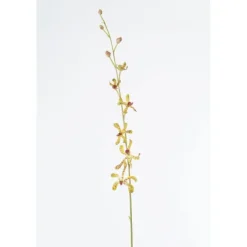 40" Vanda Orchid Plant in Gold (Sold in Multiples of 6)