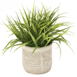 Vanilla Grass in Beige Planter