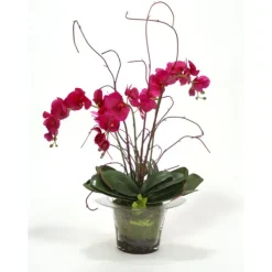 Violet Orchid with Kiwi Vines, Birch Twigs and Preserved Orchid Bark in Glass Planter