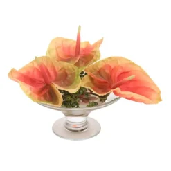 Waterlook® Coral Green Anthuriums in Glass Compote
