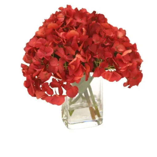 Waterlook® Dark Red Hydrangea in Square Glass Vase