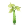 Waterlook® Green Anthuriums in Green-Striped Vase