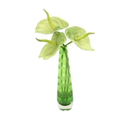 Waterlook® Green Anthuriums in Green-Striped Vase