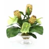 Waterlook® Green Anthuriums, Proteas and Leaves in Glass Compote