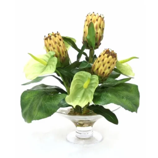 Waterlook® Green Anthuriums, Proteas and Leaves in Glass Compote