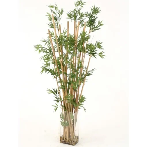 Waterlook® Leafy Bamboo in Tall Rectangular Glass Vase