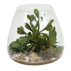 Waterlook® Succulents with Sand and Shells in Glass Bowl
