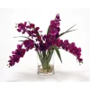 Waterlook® Violet Phaleanopsis Orchids with Foliage in Narrow Glass Vase