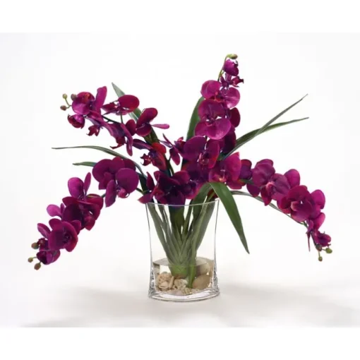 Waterlook® Violet Phaleanopsis Orchids with Foliage in Narrow Glass Vase
