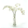 Waterlook® White Phaleanopsis Orchids in Clear Inverted Glass Cylinder
