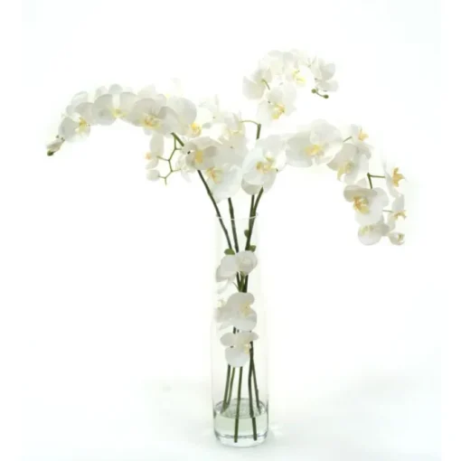 Waterlook® White Phaleanopsis Orchids in Clear Inverted Glass Cylinder