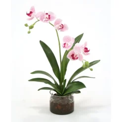 Waterlook® White Purple Phaleanopsis Orchids in Glass Cylinder