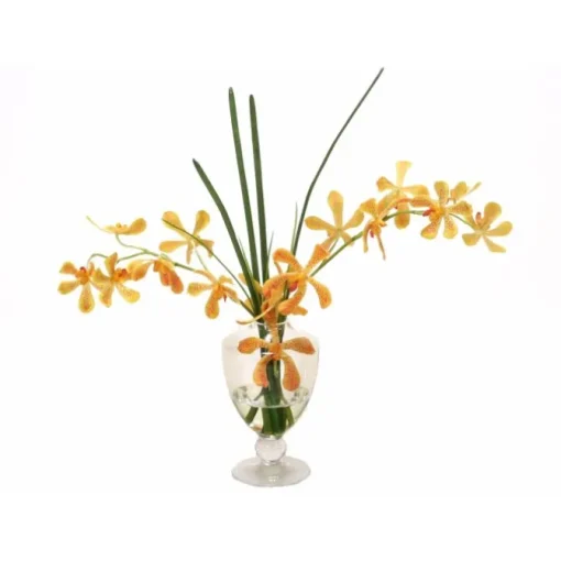 Waterlook® Yellow-Orange Vanda Orchids, Grass in Glass Urn