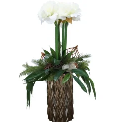 White Amaryllis in Bronze Planter with Pine