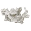White Coral Accent