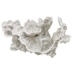 White Coral Accent