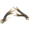 White Deer Horn