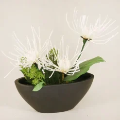 White Fugi Mums in Black Oval Planter