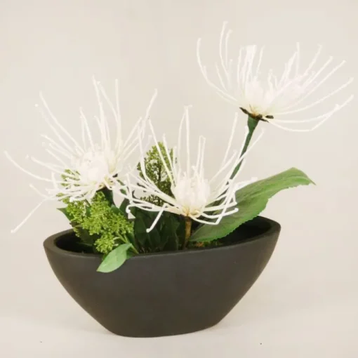 White Fugi Mums in Black Oval Planter