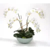 White Phaleanopsis Orchids in Pale Blue Ceramic Bowl