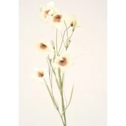 Wild Campanula in Ivory (Sold in Multiples of 12)
