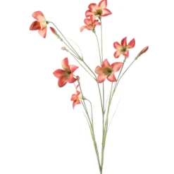Wild Campanula in Mauve (Sold in Multiples of 12)