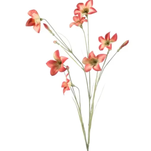 Wild Campanula in Mauve (Sold in Multiples of 12)
