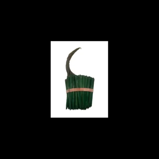 4" Wired Wood Picks Package of 200 Picks in Green