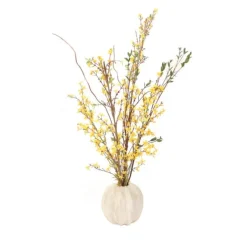 Yellow Forsythia in White Pumpkin Shaped Planter