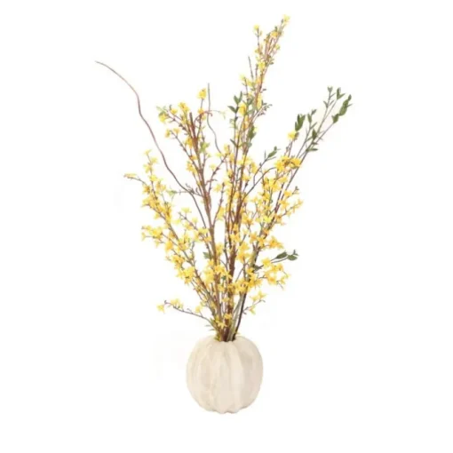 Yellow Forsythia in White Pumpkin Shaped Planter