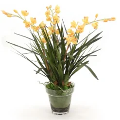 Yellow Orchids in Glass with Moss