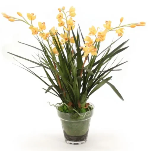 Yellow Orchids in Glass with Moss