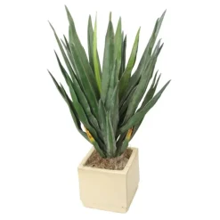 Yucca in Beige Square Planter