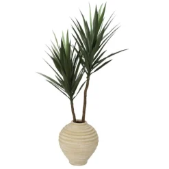 Yucca in Terra Cotta Swirled Pot